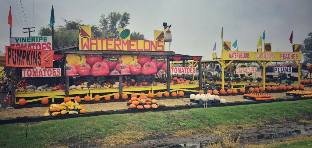 farmer market pumpkin