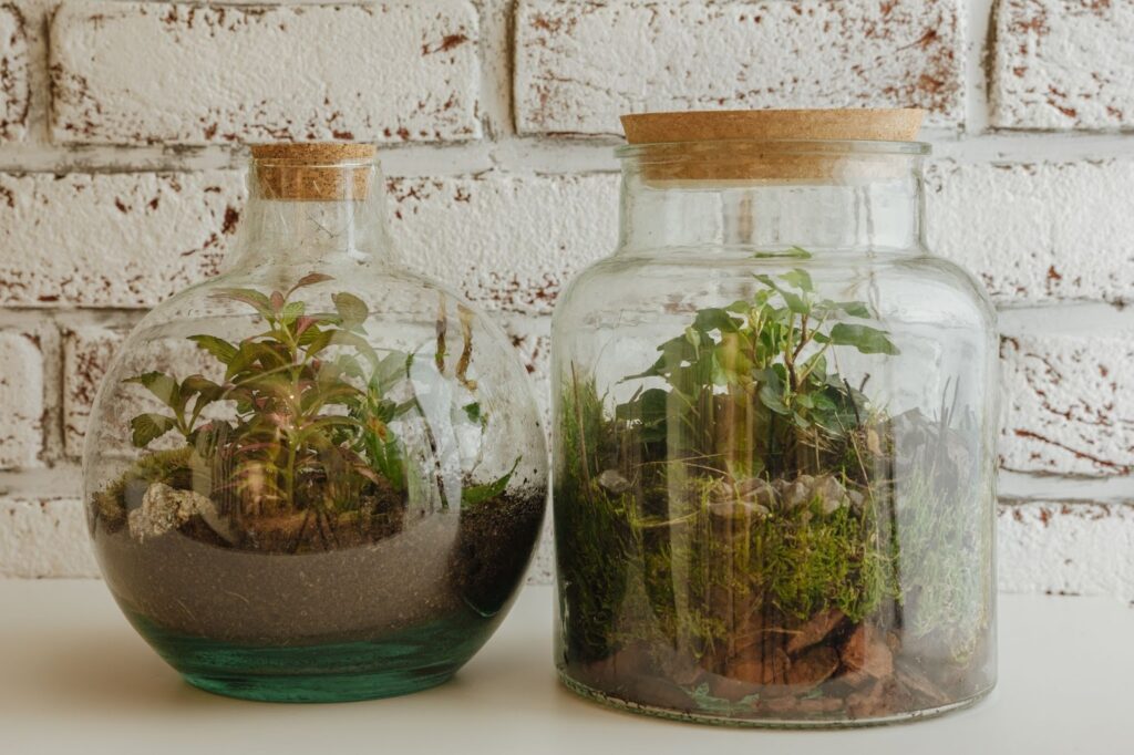 terrarium bottle cork